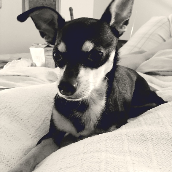 Meet your Posher, Jill - Picture 11 of 16